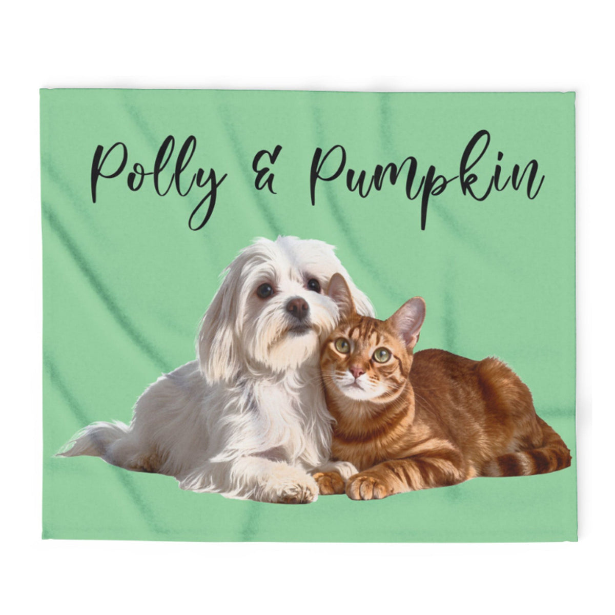 A square mint green blanket or throw featuring the printed text 'Polly & Pumpkin' in black script above an illustration of a white fluffy dog and an orange tabby cat lying together.